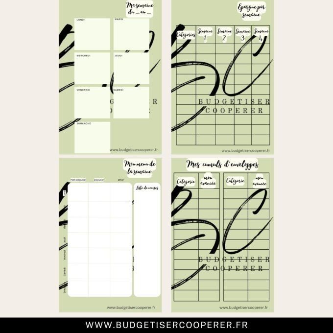 Fiche budget journal à l'unité