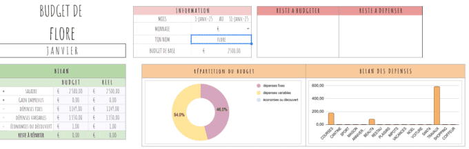 Fiche budget en ligne 