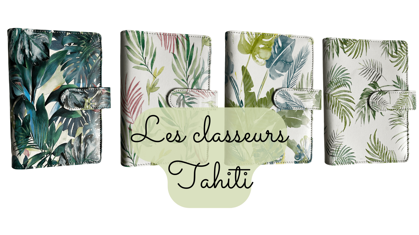 Les classeurs Tahiti 22€